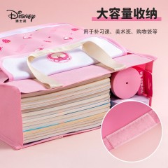 迪士尼（Disney）小学生补习袋手提袋牛津布防水学生补课包儿童美术袋女男女可爱帆布手提袋补习袋双肩 冰雪奇缘（手提