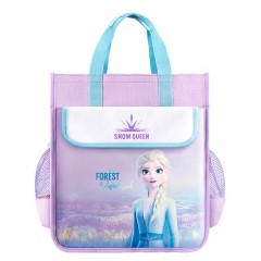 迪士尼（Disney）小学生补习袋手提袋牛津布防水学生补课包儿童美术袋女男女可爱帆布手提袋补习袋双肩 冰雪奇缘（手提